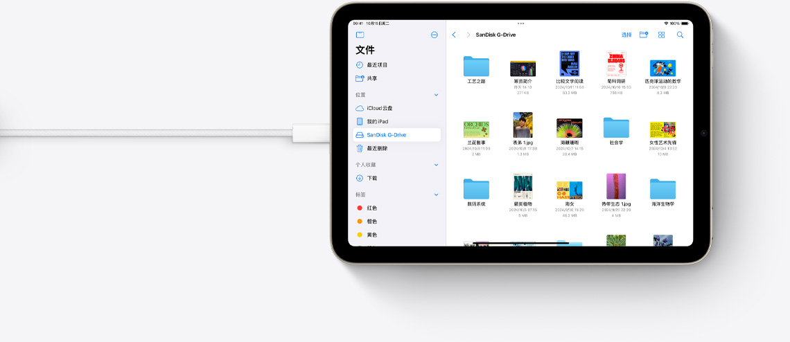 iPad mini 连上 USB-C 连接线，在横屏模式下展示文件 app。