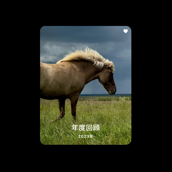 一张骏马的照片，展示照片 app 中的“个人收藏”精选集。