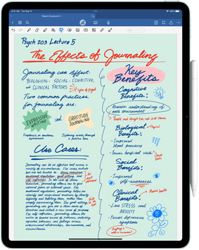 iPad Pro 屏幕上显示 Goodnotes 6 app